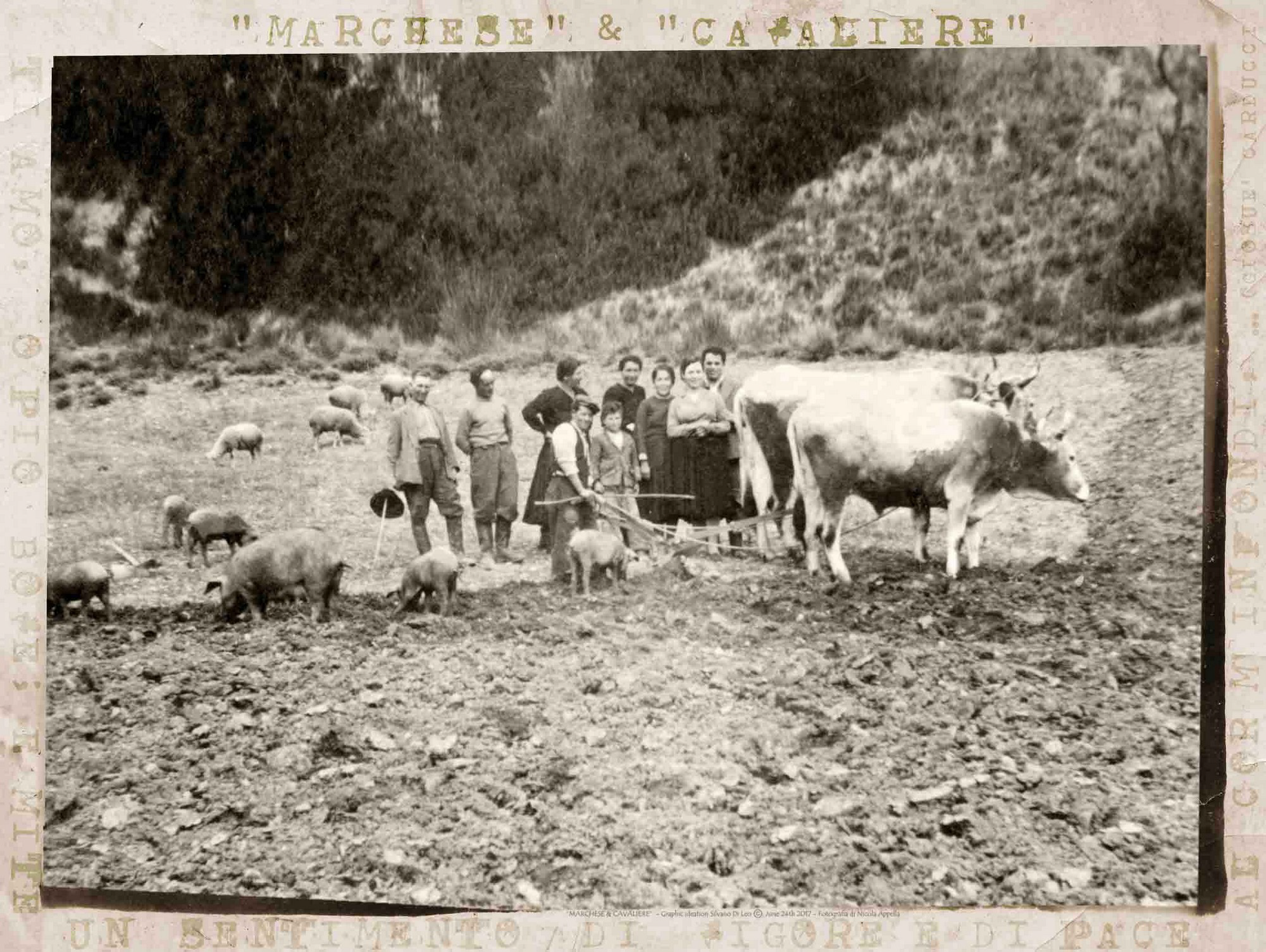 Domenica 18 settembre 2022 - In Cammino con gli Agricoltori del Parco Nazionale del Pollino 2 Senza titolo1