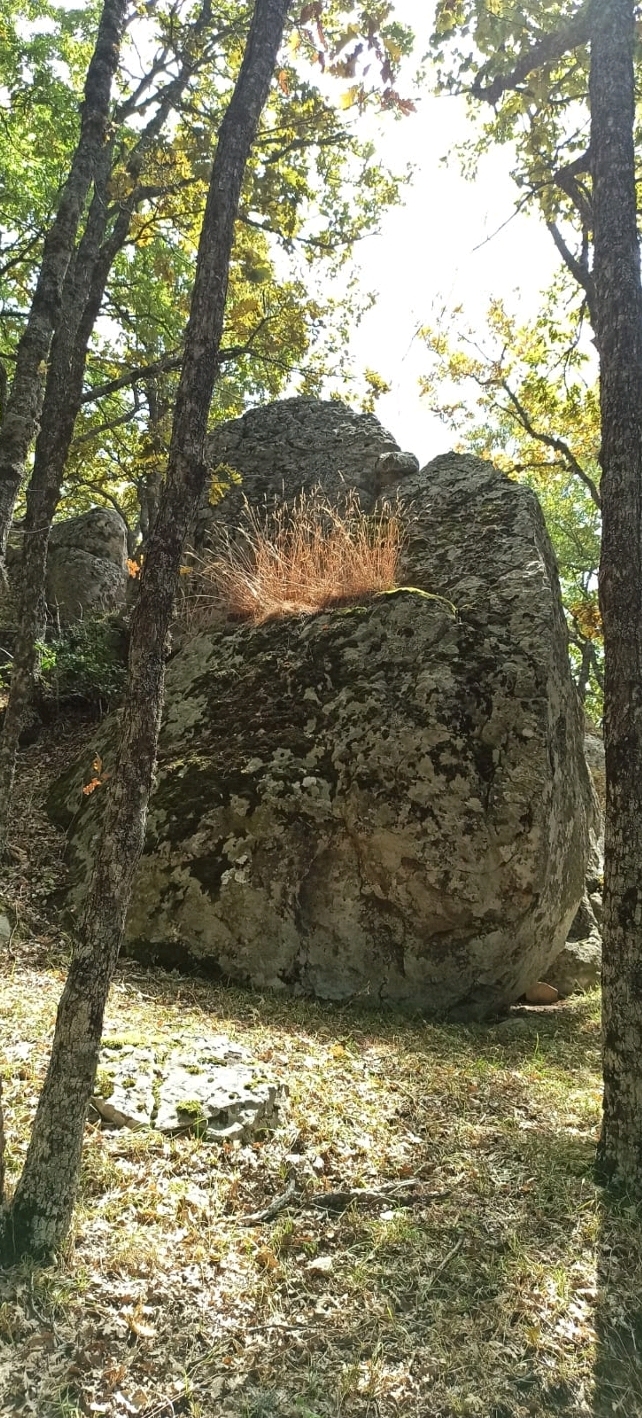 Domenica 8 Ottobre 2023_costa La Rossa – Monte Malerba