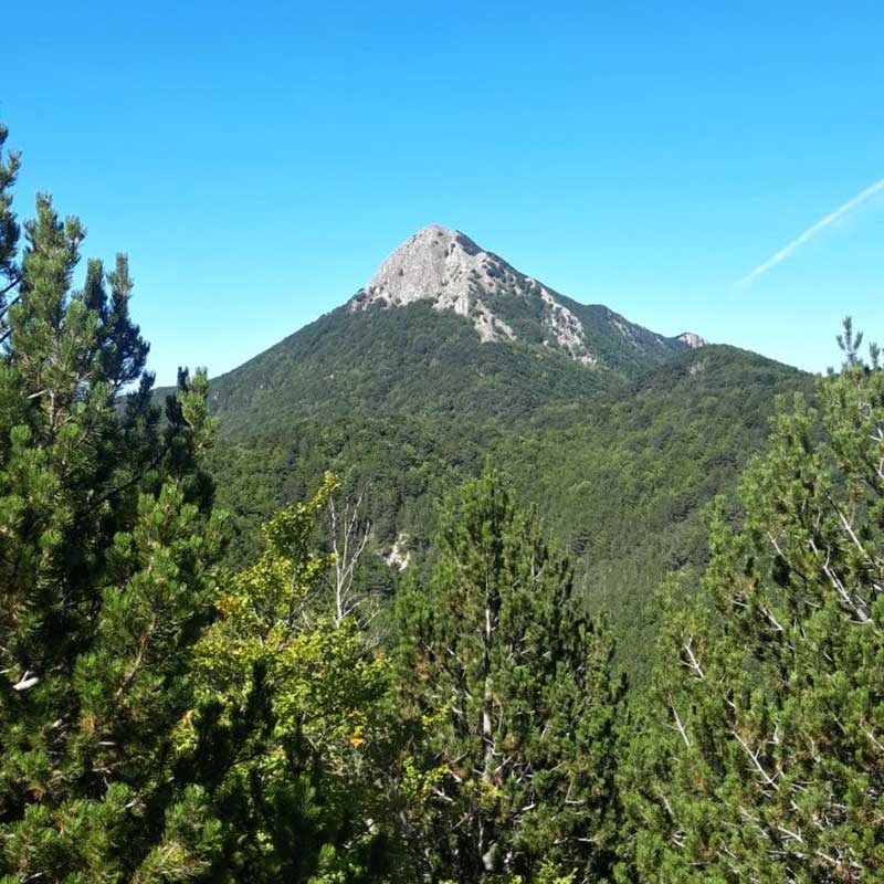 Cima Monte La Spina_intersezionale Cai Lagonegro_domenica 9 Luglio 2023