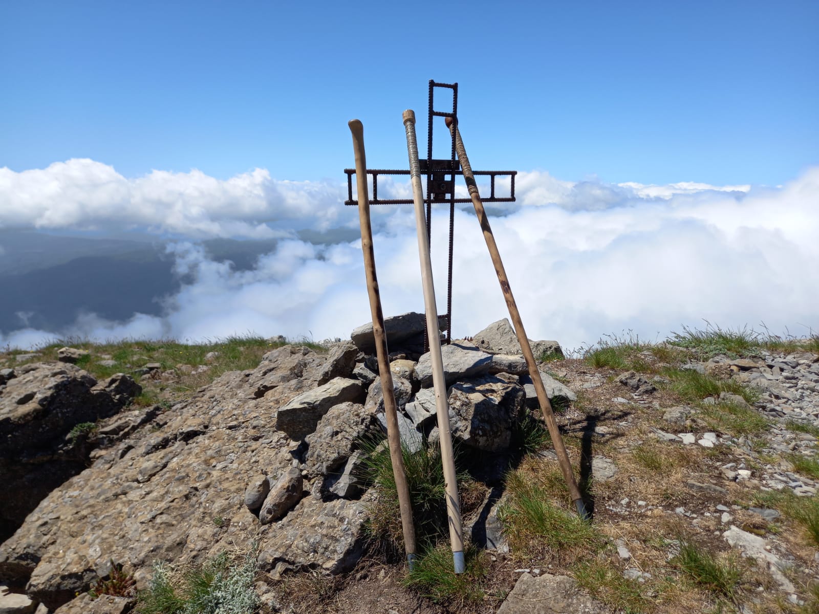 Domenica 13 giugno 2021 - Monte Alpi 1 WhatsApp Image 2021 06 08 at 15.17.32 - CAI Sezione di Potenza