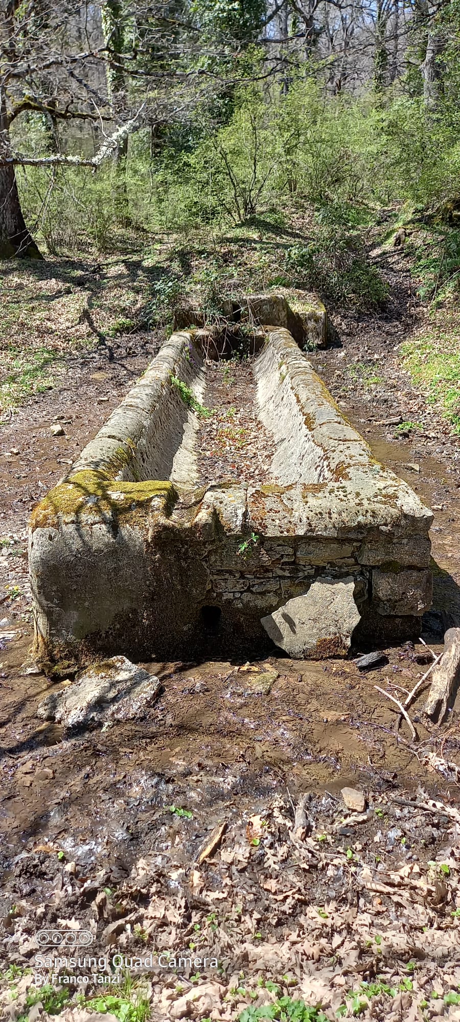 Domenica 1 maggio 2022 - Da Marrucaro a Casone Caprara 1 WhatsApp Image 2022 04 27 at 09.03.15 1 - CAI Sezione di Potenza