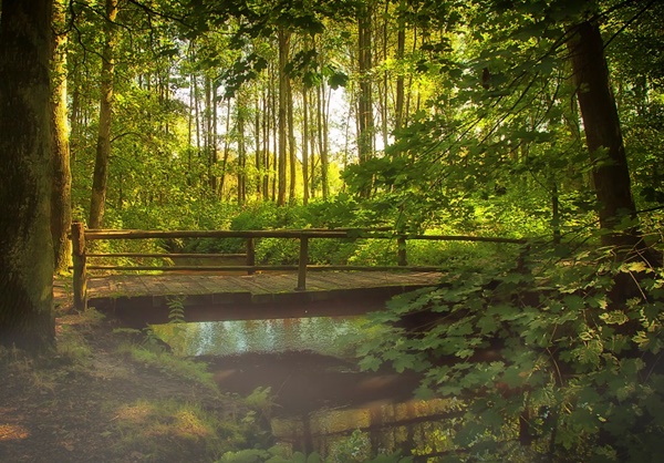 Sulla Strada Dal Bosco Di Montepiano Al Borgo Di Cirigliano_sabato 1 Luglio 2023
