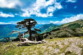 download 2 - CAI Sezione di Potenza