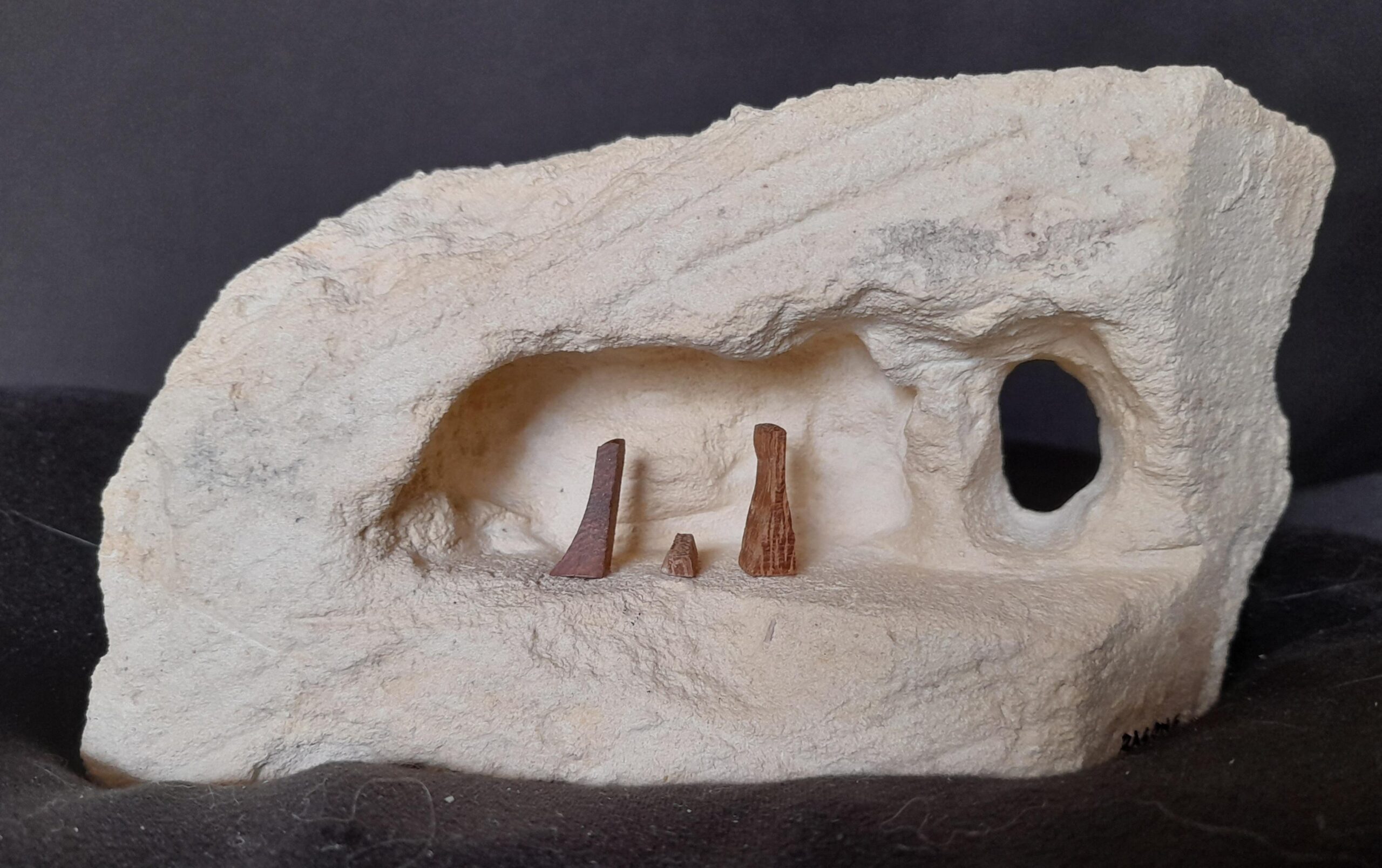 Cai X Emergency_mercoledì 7 Dicembre 2022