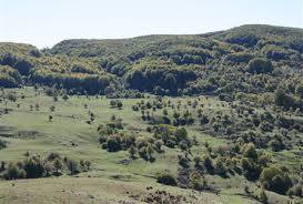 Domenica 31 ottobre 2021 - Monta Caldarosa 1 monte caldarosa Lucanapa - CAI Sezione di Potenza