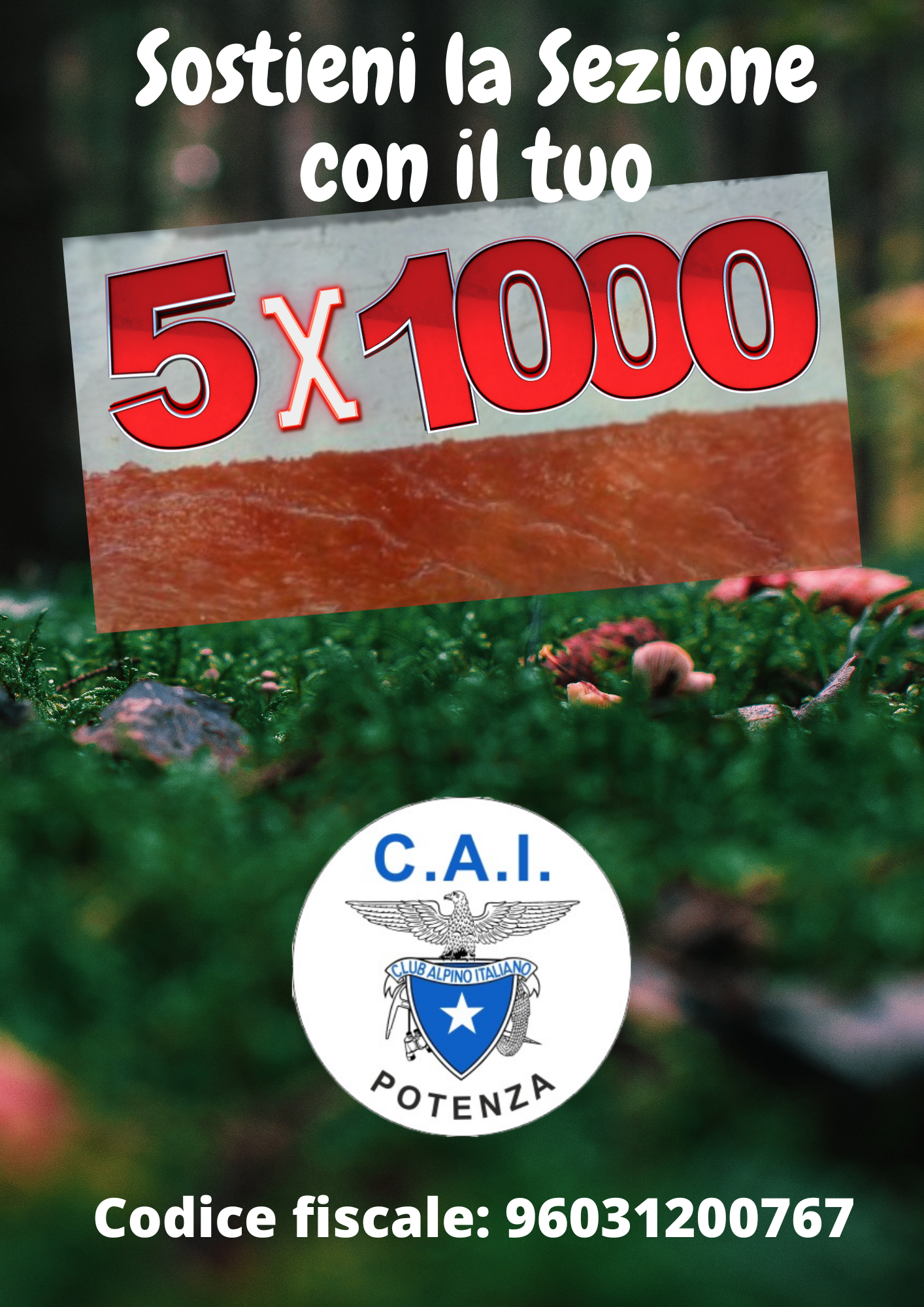 5 X 1000 1 png 20230503 115733 0000 - CAI Sezione di Potenza