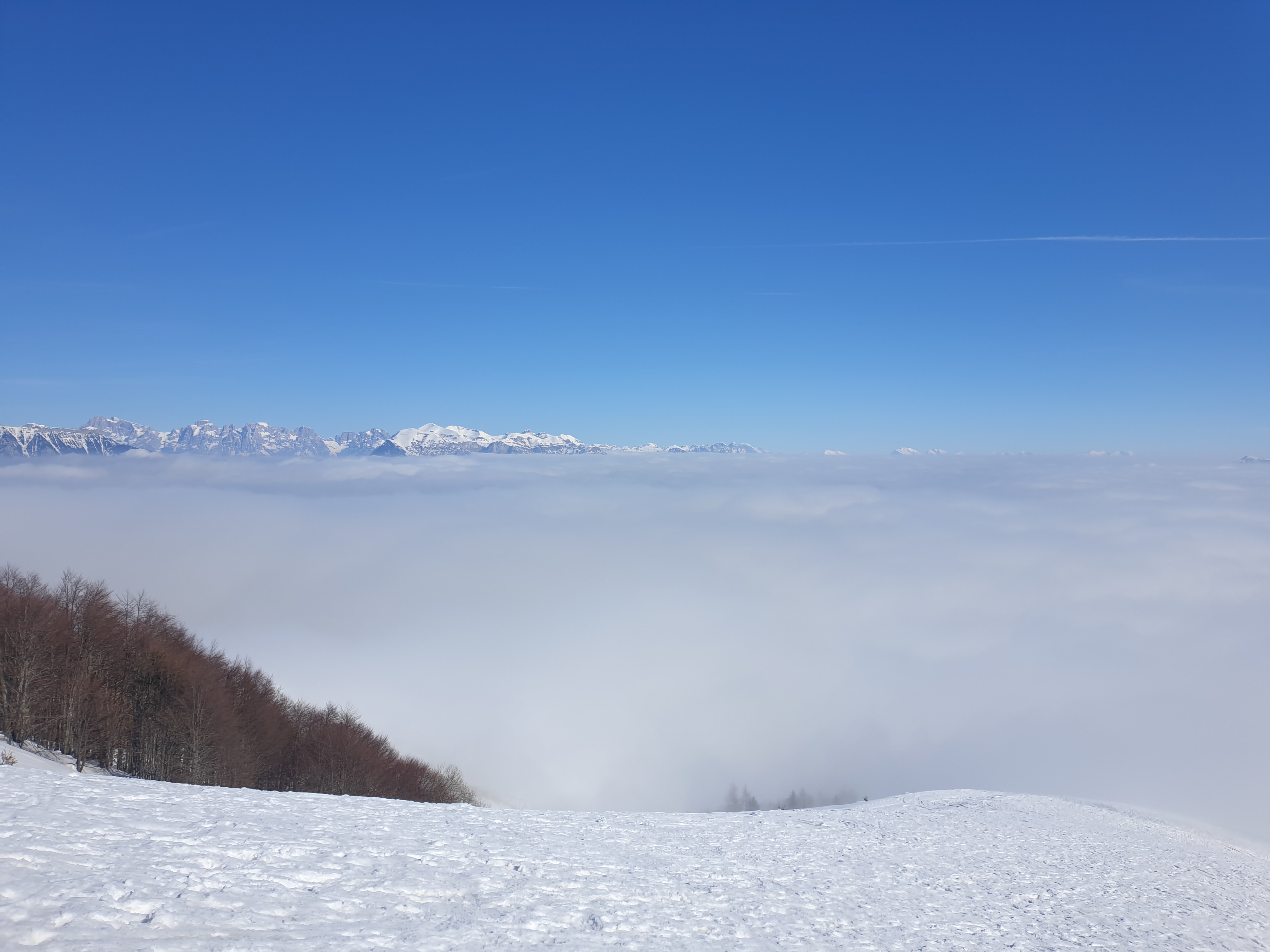 Escursioni Sociali 1 0.B.DOMENICA 5FEBBRAIO23 - CAI Sezione di San Donà di Piave ETS - APS