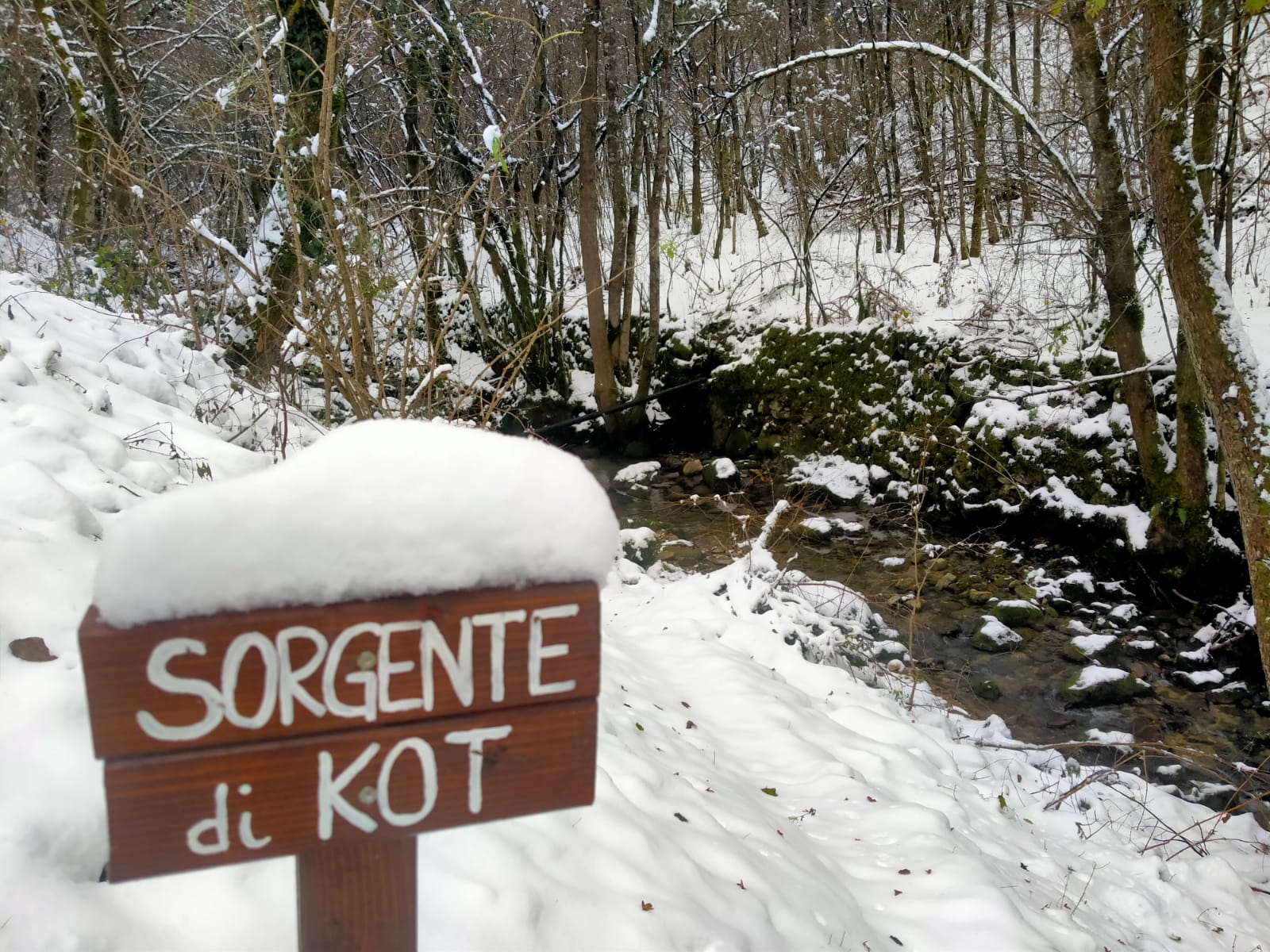 IMG 20201203 WA0010 - CAI Sezione di Val Natisone