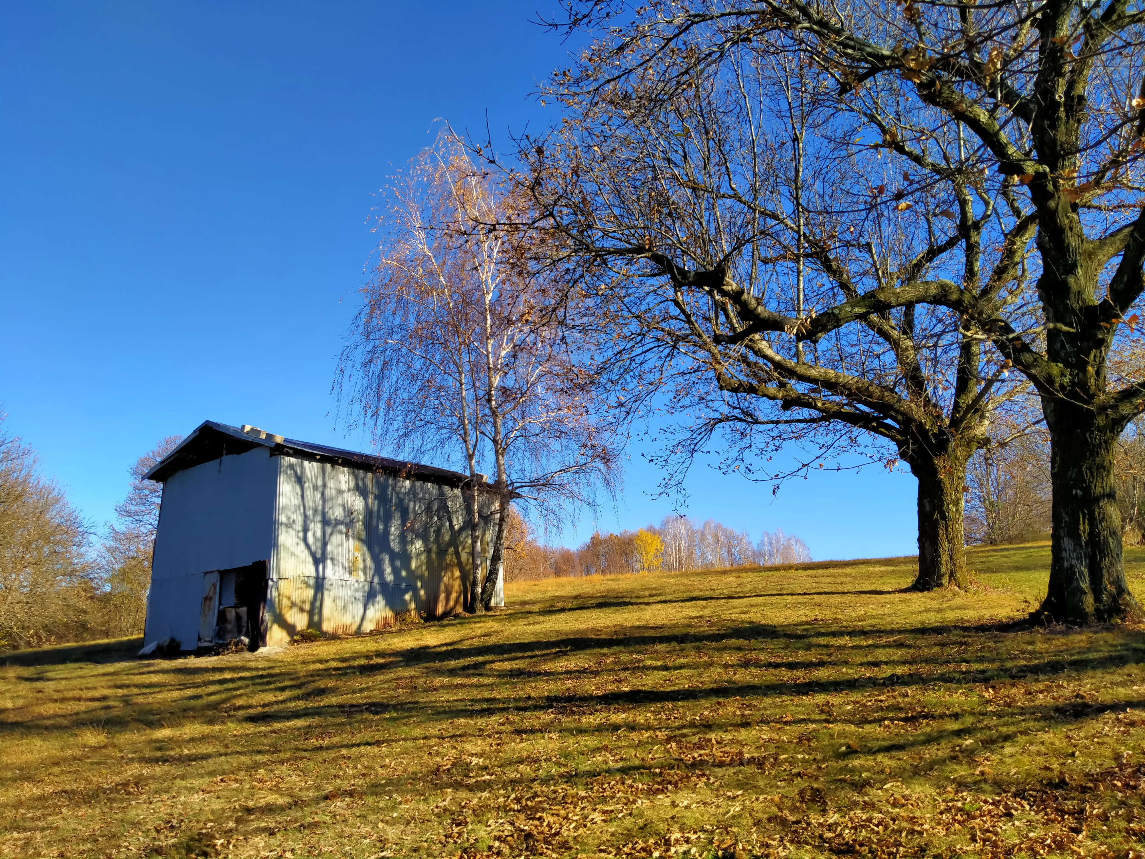 IMG20201119123225 - CAI Sezione di Val Natisone