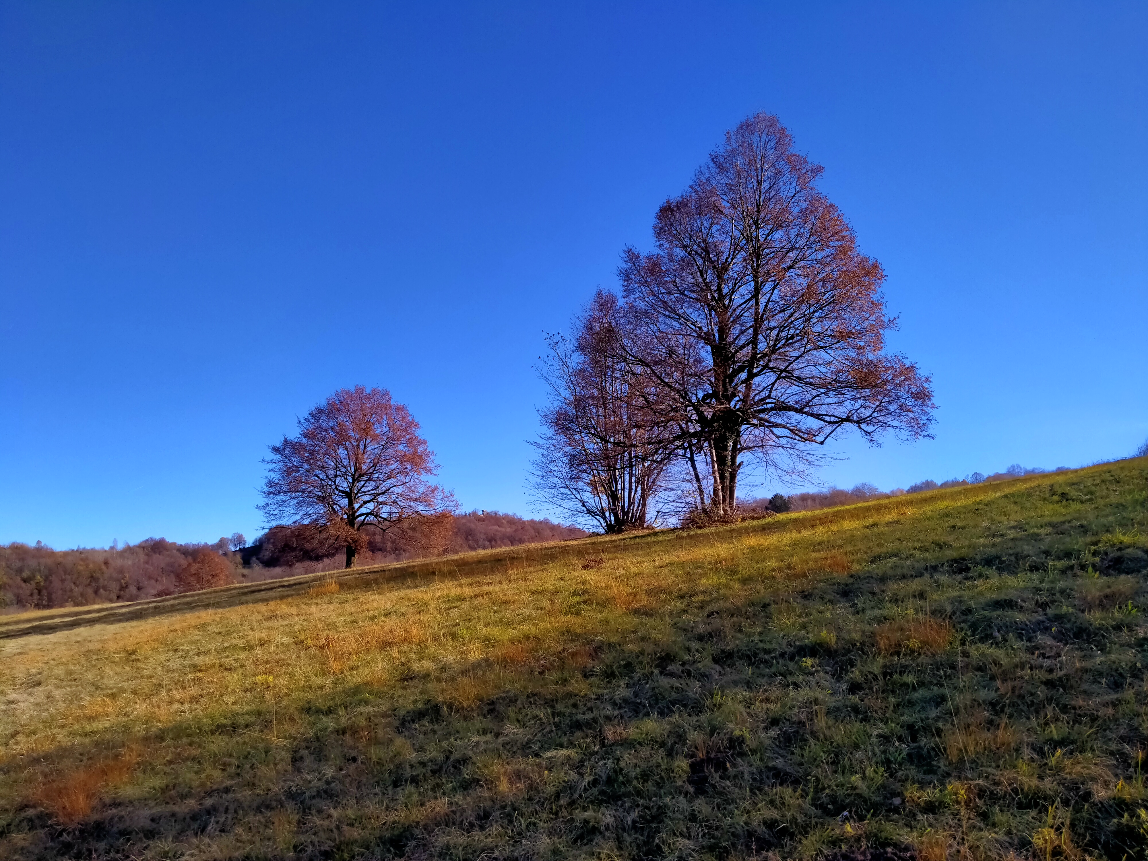 IMG20201119123940 1 - CAI Sezione di Val Natisone