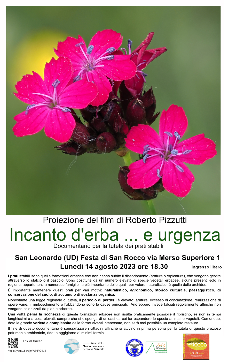 Film “incanto D’erba . . . E Urgenza” Di Roberto Pizzutti