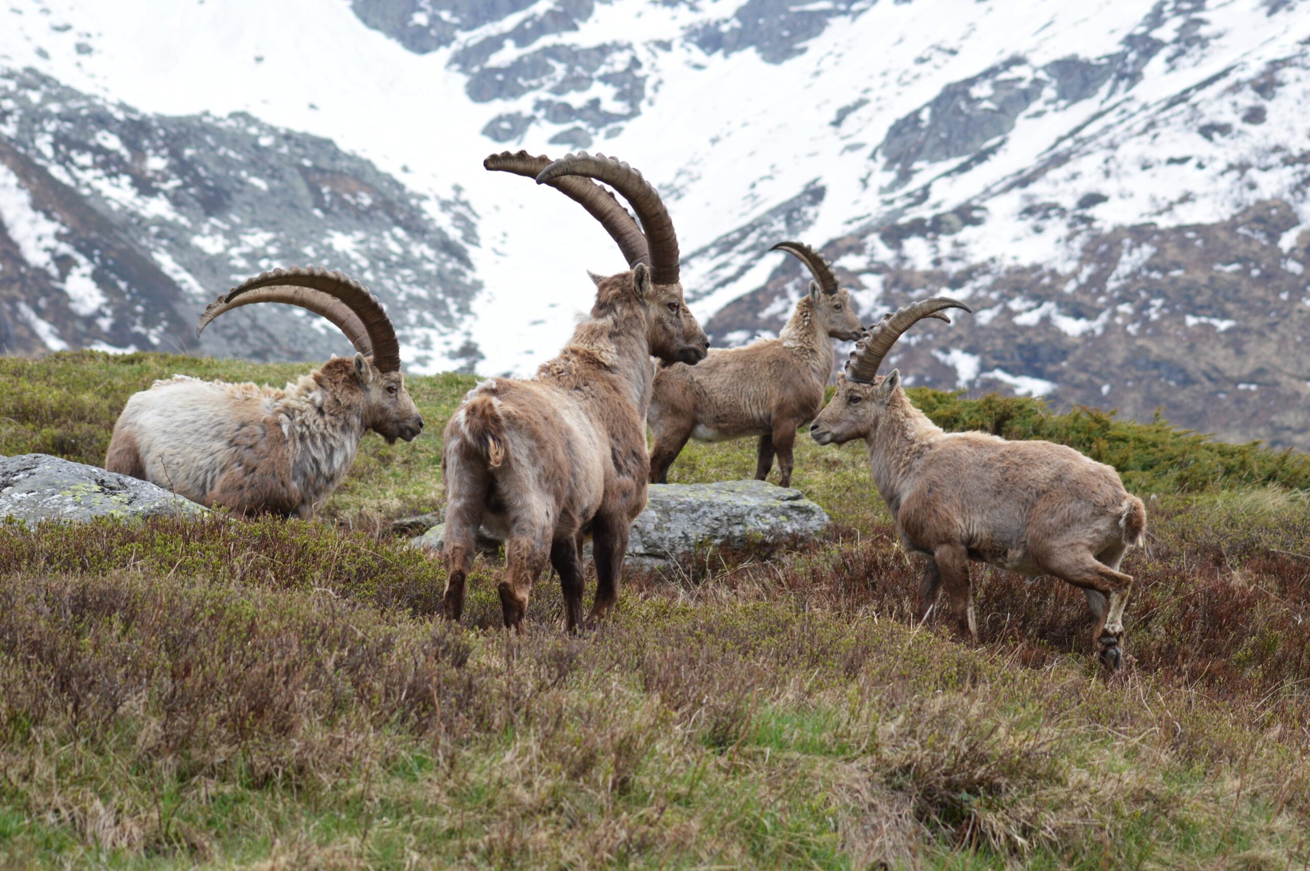 DSC 0089 scaled - CAI Sezione di Villadossola