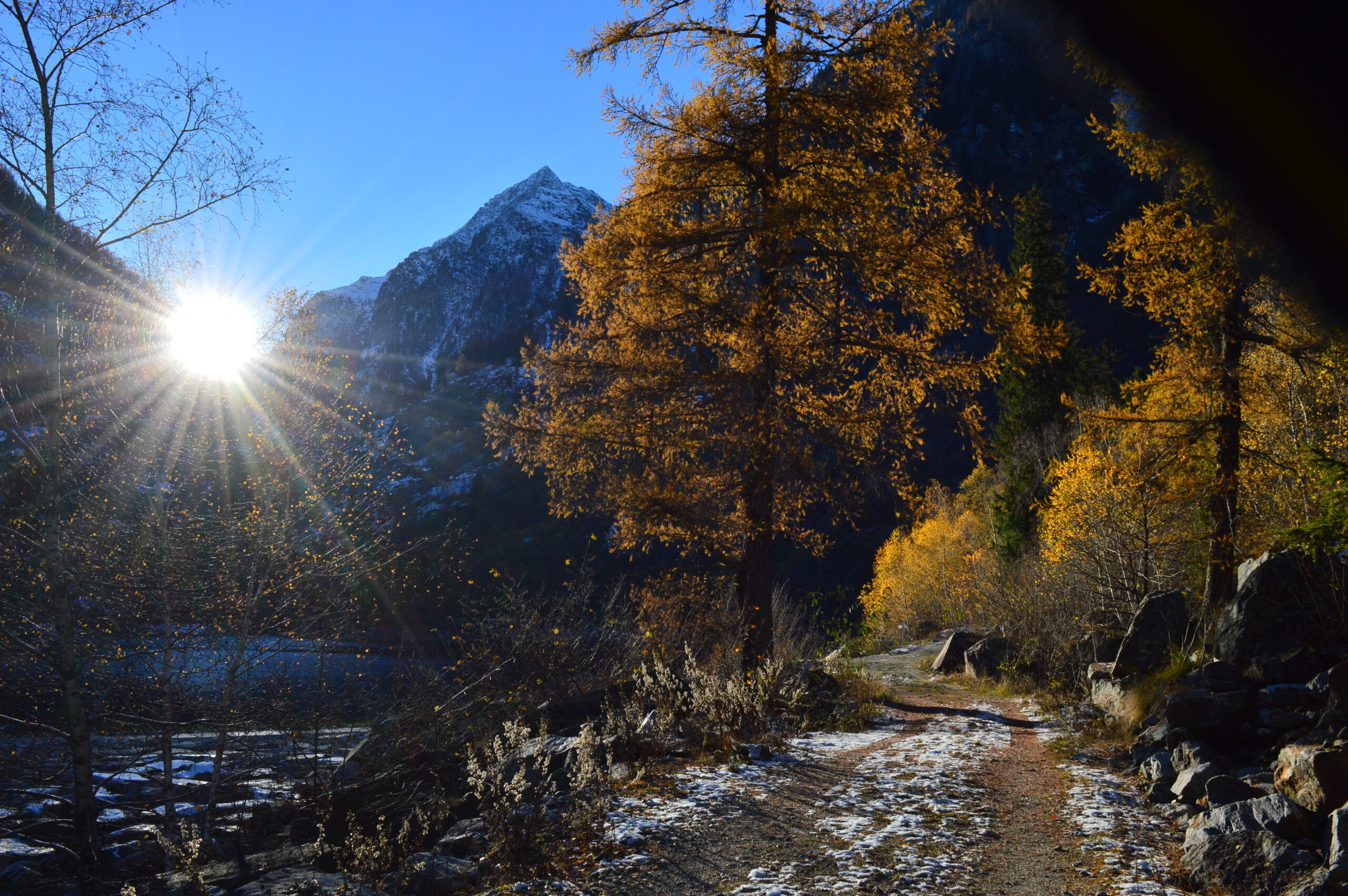 Itinerari 1 DSC 0091 scaled - CAI Sezione di Villadossola