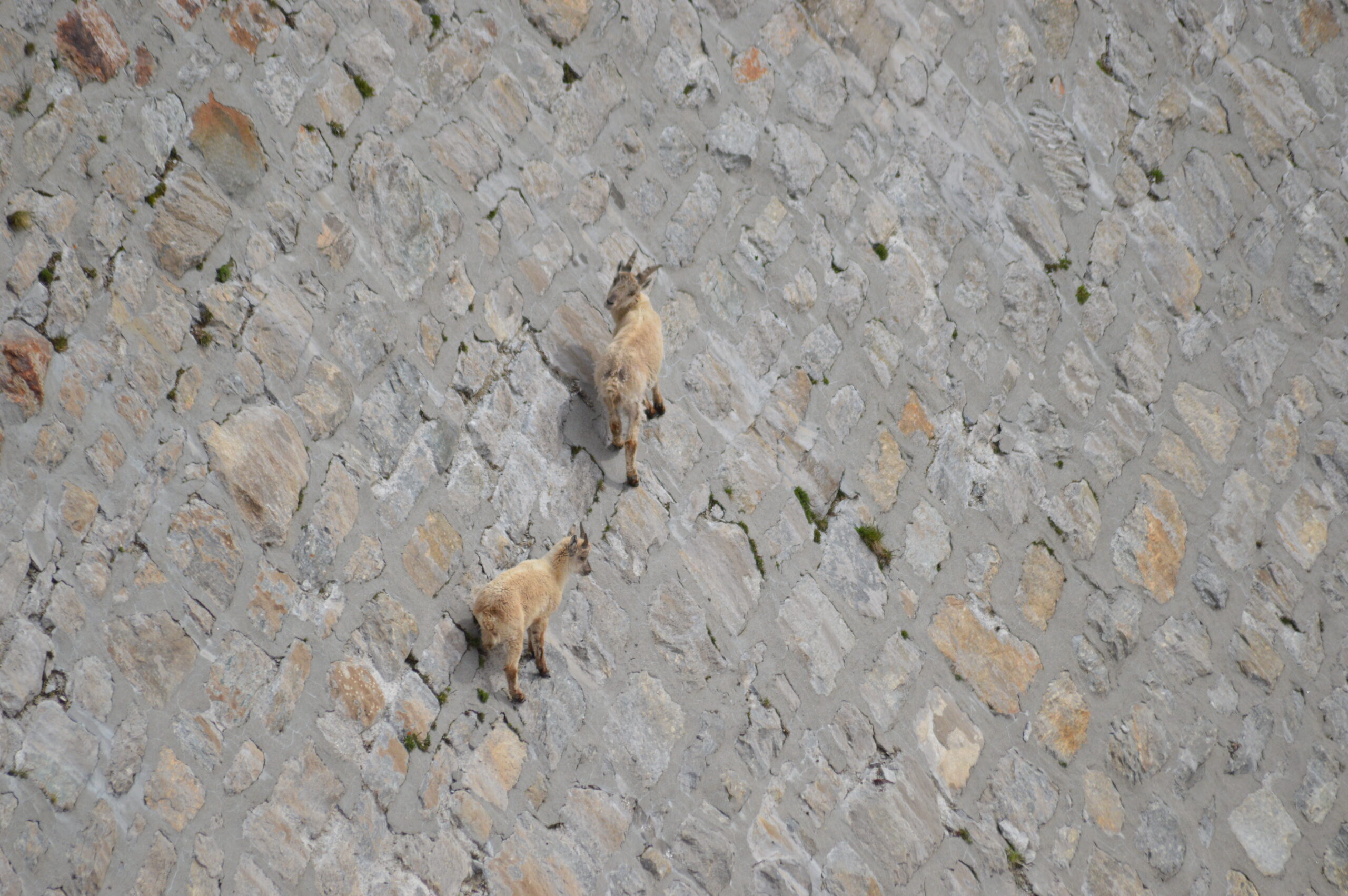 Luoghi Da Scoprire 1 DSC 0525 scaled - CAI Sezione di Villadossola