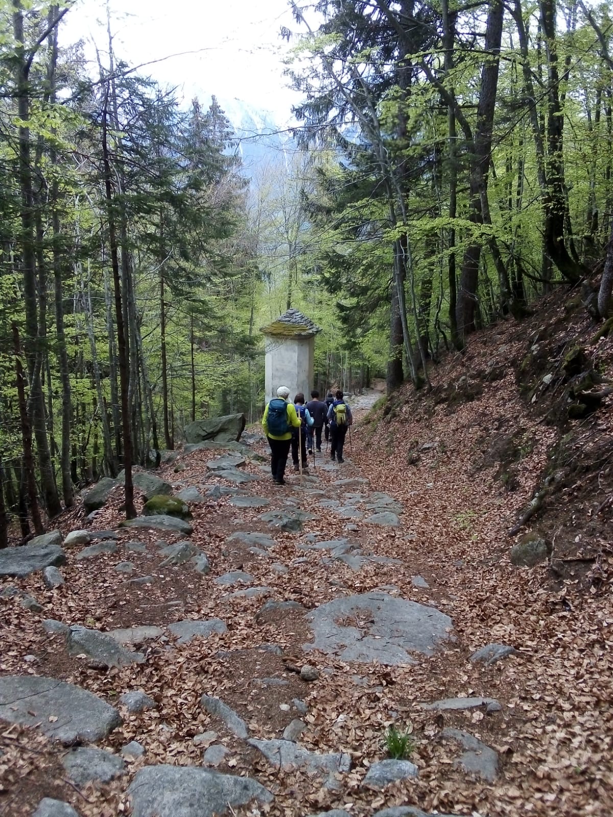 WhatsApp Image 2021 05 10 at 12.39.43 - CAI Sezione di Villadossola