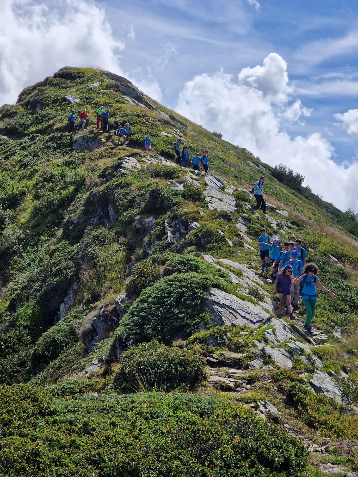 Alpinismo Giovanile - Foto Uscita All’alpe Scaredi 11 WhatsApp Image 2023 08 02 at 12.48.49 1