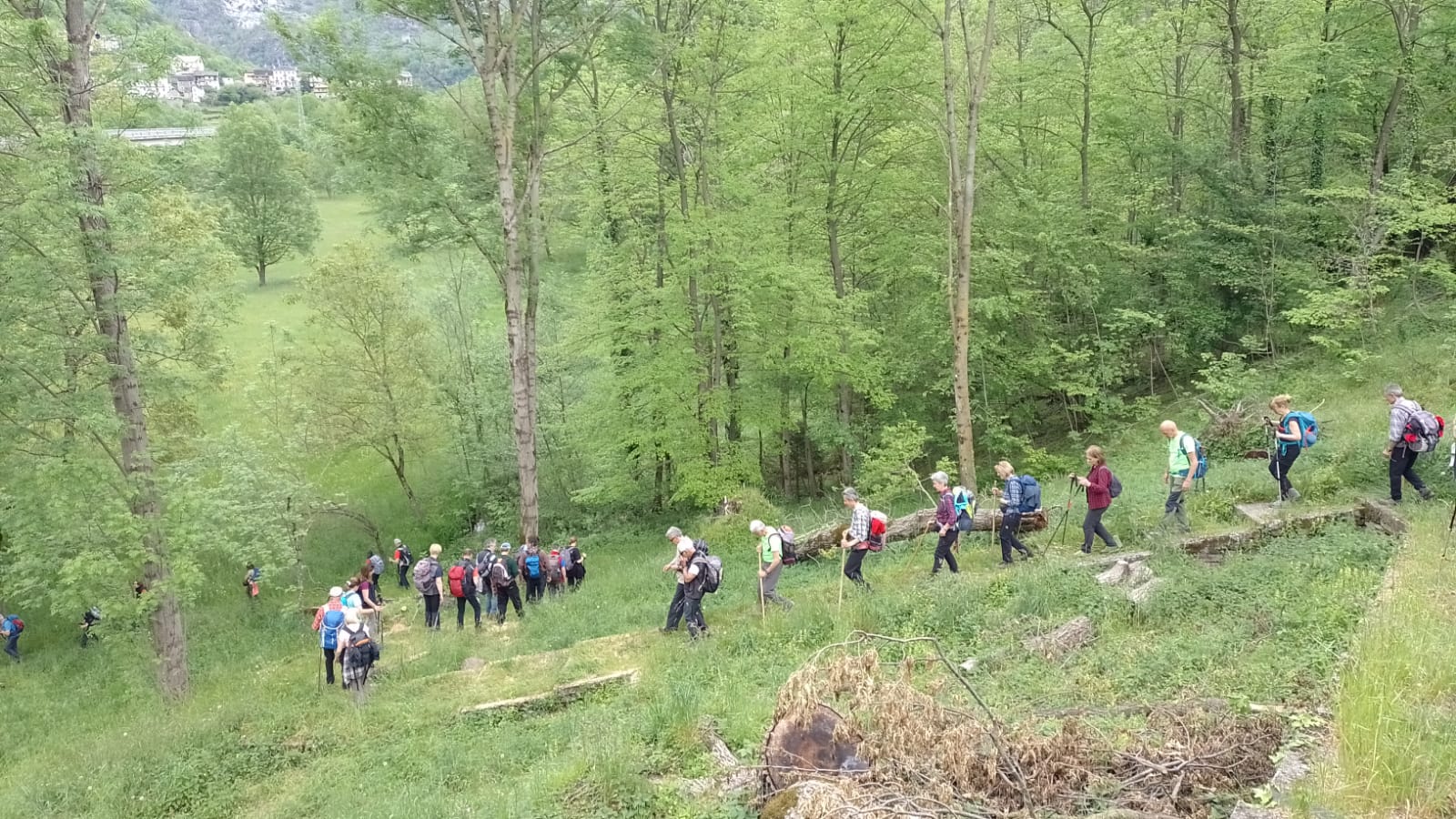 WhatsApp Image 2024 05 07 at 10.11.52