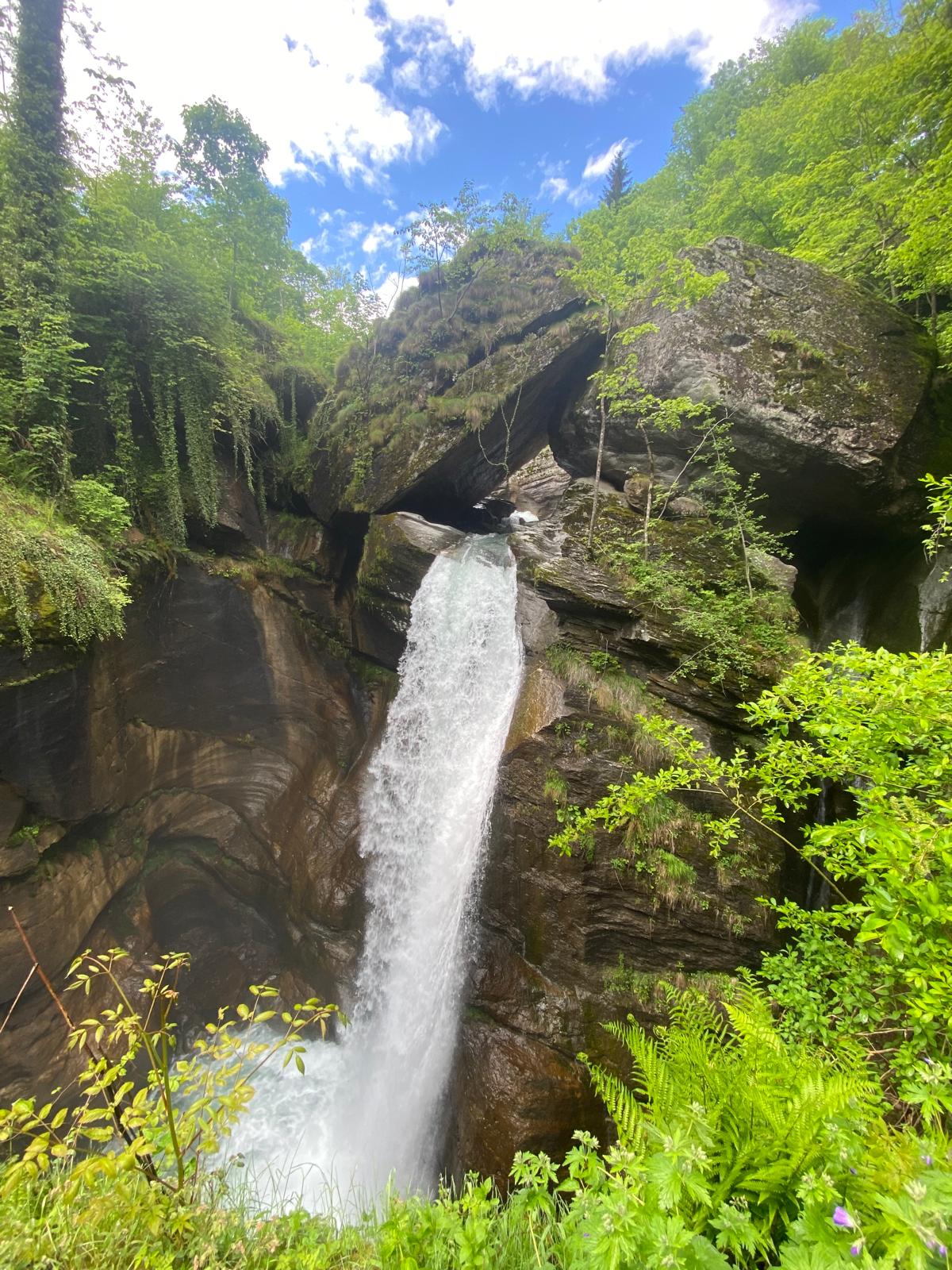 WhatsApp Image 2024 05 19 at 18.09.54 2