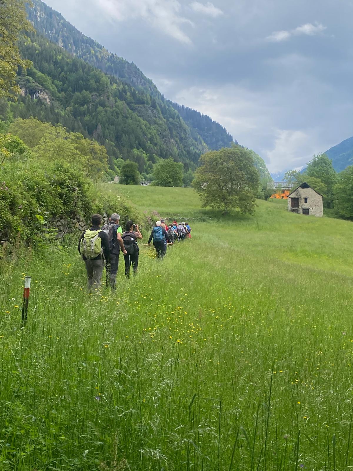 WhatsApp Image 2024 05 19 at 18.09.54 4