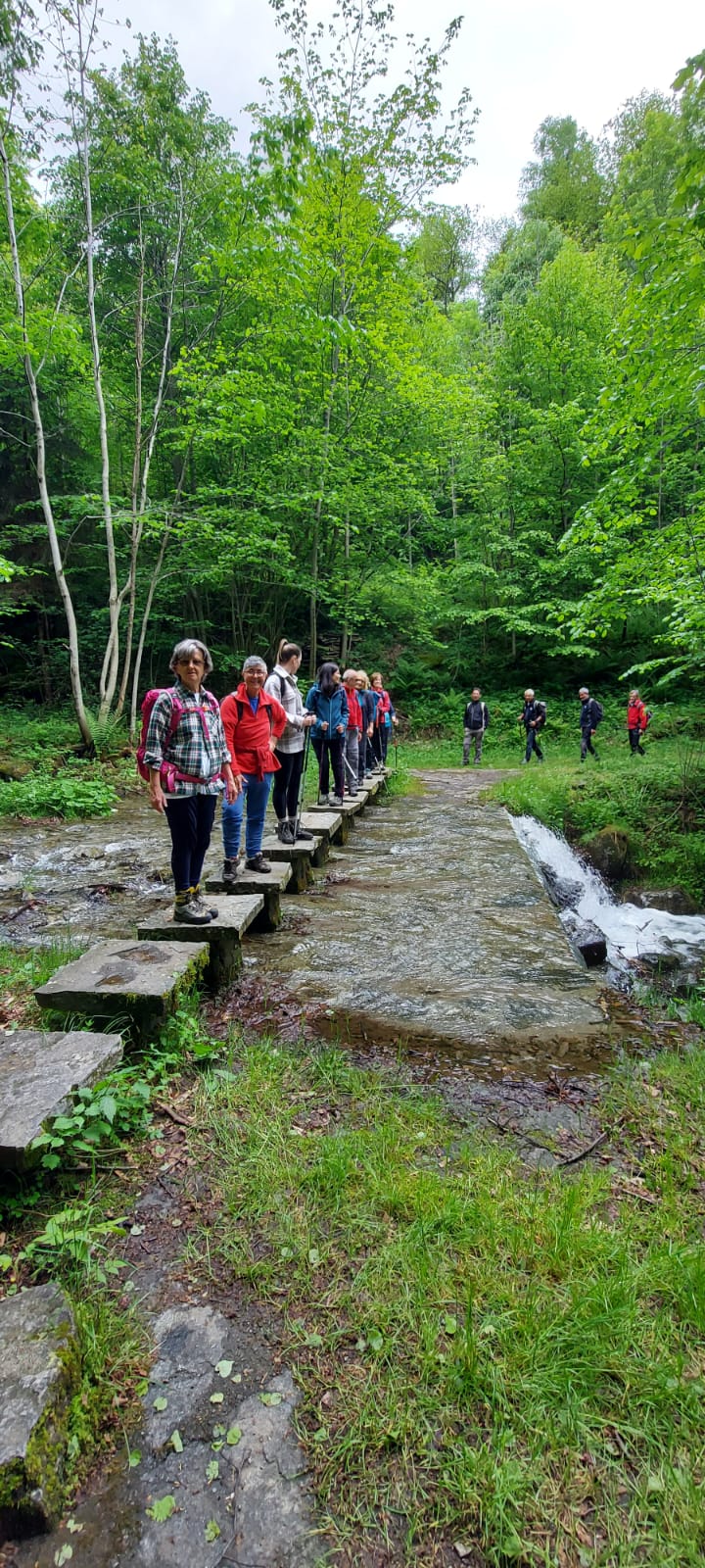 WhatsApp Image 2024 05 19 at 18.11.10