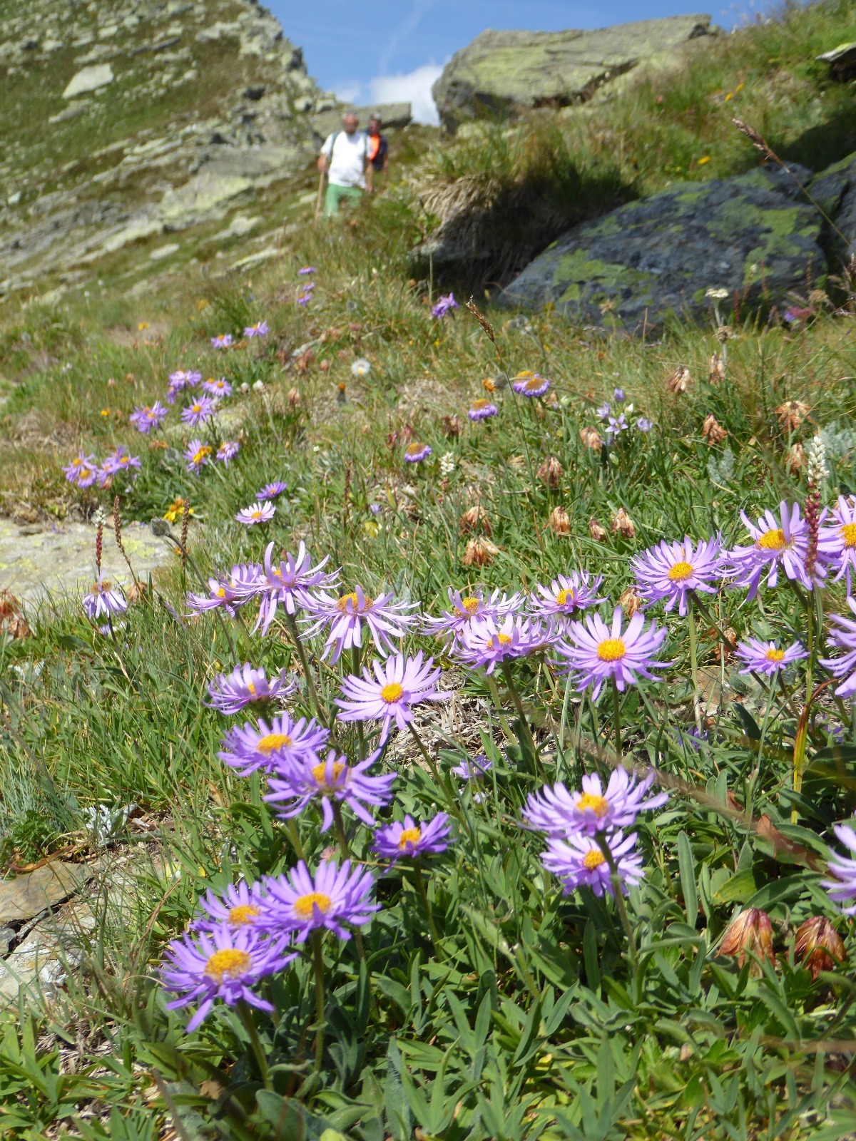 Foto Uscita Dell’11 Agosto Al Sempione