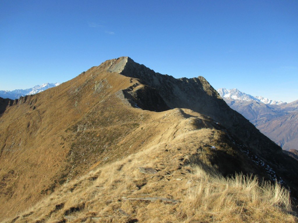 7 Agosto – Escursione Al Pizzo Tignolino