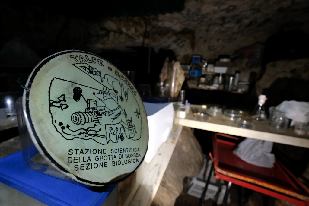 Ricerca Biologica 3 FOTO 13 Lab.Bosseaph.Godino 12 - CAI BOSSEA