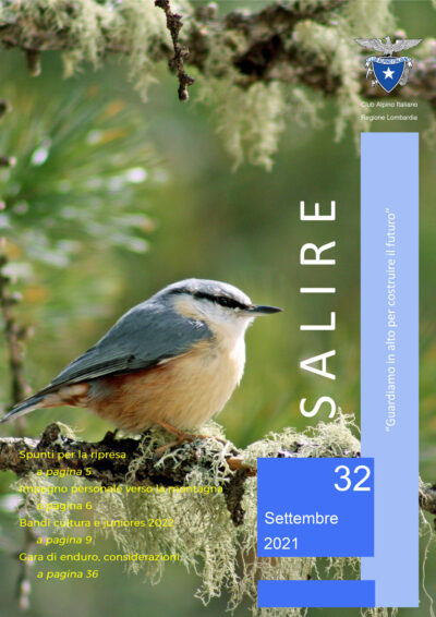 Salire N.32 – Nostro Articolo Sul Progetto Webcam Rifugi