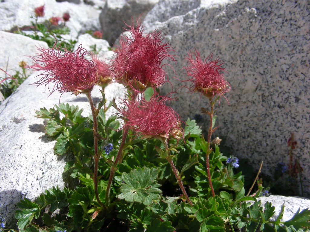 2° Corso Per Ispettori Sezionali – Rifugio Gherardi 19-05-2018